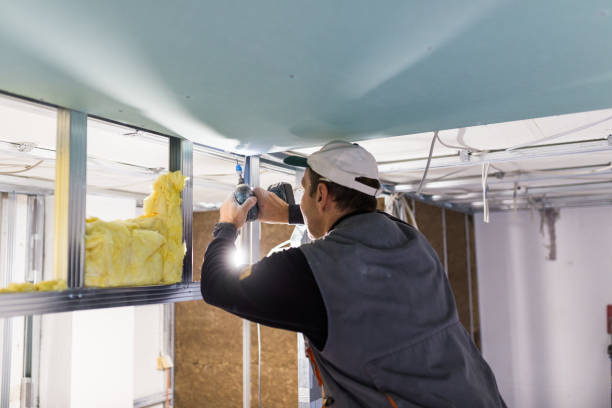 Best Insulation Inspection Services  in Thurmont, MD